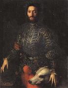 Agnolo Bronzino Portrait of Guidubaldo della Rovere painting